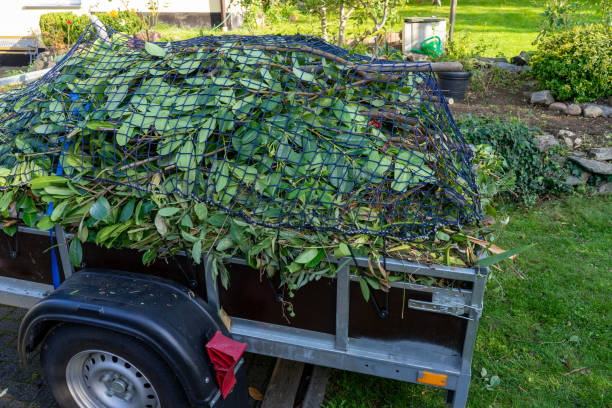  Mackinac Island, MI Junk Removal Services Pros